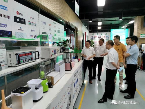 热烈欢迎中山工信厅及工业互联网与数字产业领导深入调研家电集群与安装服务